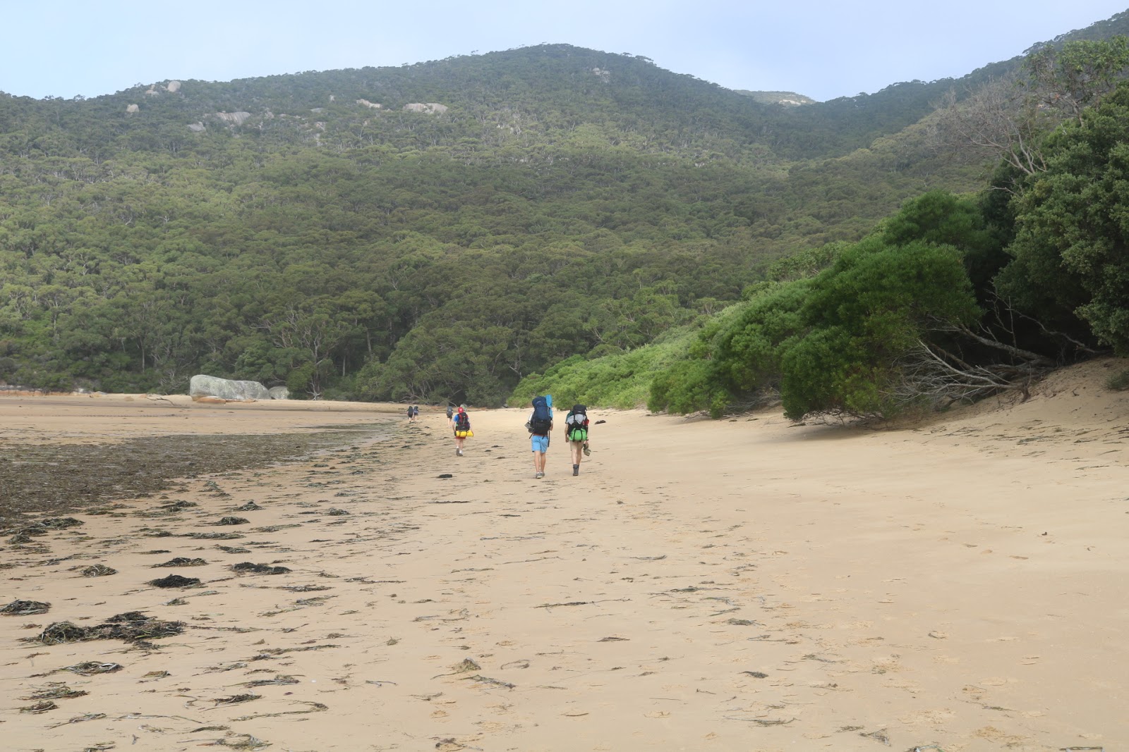 Sealers Cove Beach photo #9