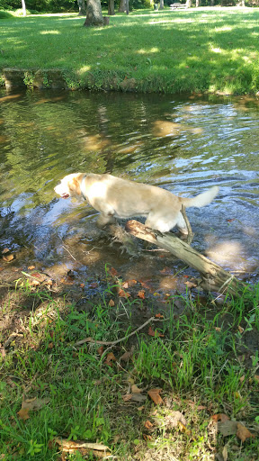 Park «Hounz Lane Park», reviews and photos, 2300 Hounz Ln, Louisville, KY 40223, USA