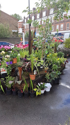 Comments and reviews of Spring Gardens Nursery
