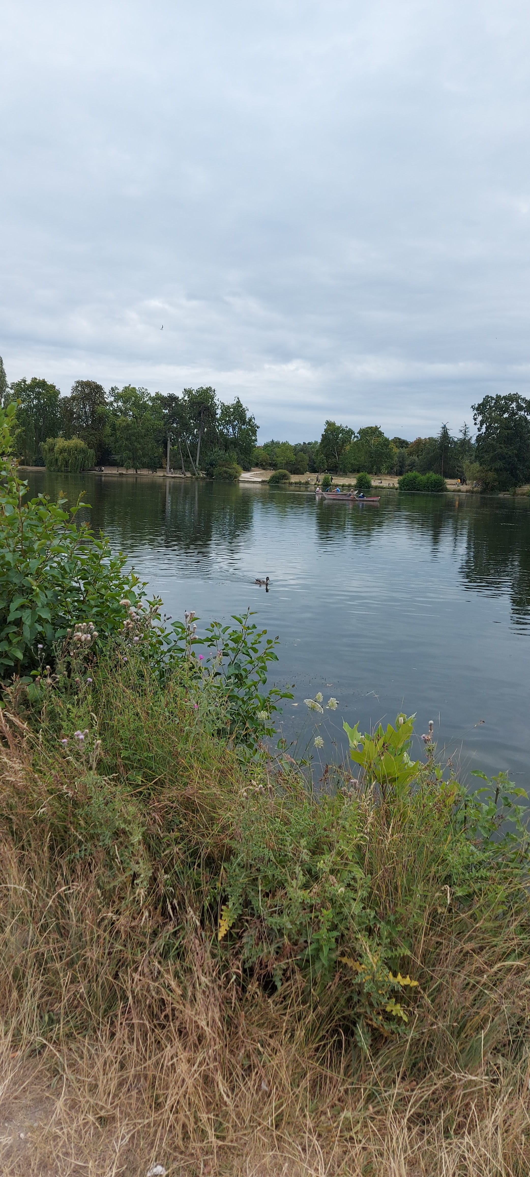 Photo n° 7 de l'avis de unmecdesannees80. fait le 20/07/2020 à 05:32