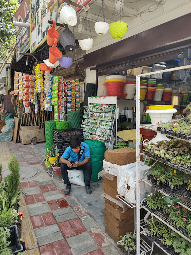 सस्ते फूलों की दुकानें दिल्ली