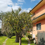 Photo n°2 de l'avis de Valentina.i fait le 03/04/2018 à 08:30 sur le  Le rotonde à Massaciuccoli