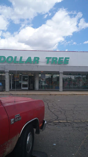 Dollar Store «Dollar Tree», reviews and photos, 1732 Dix Hwy, Lincoln Park, MI 48146, USA