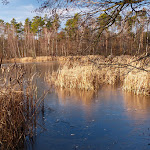 Photo n°3 de l'avis de Manfred.a fait le 31/12/2020 à 22:05 sur le  Seeblick Moritzburg à Moritzburg