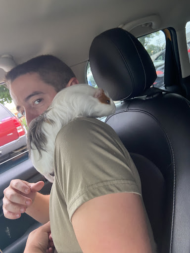 Pet Supply Store «Petco Animal Supplies», reviews and photos, 5 Bel Air S Pkwy #213B, Bel Air, MD 21014, USA