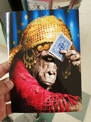 Supermarket «Super Stop & Shop», reviews and photos, 1690 Revere Beach Pkwy, Everett, MA 02149, USA