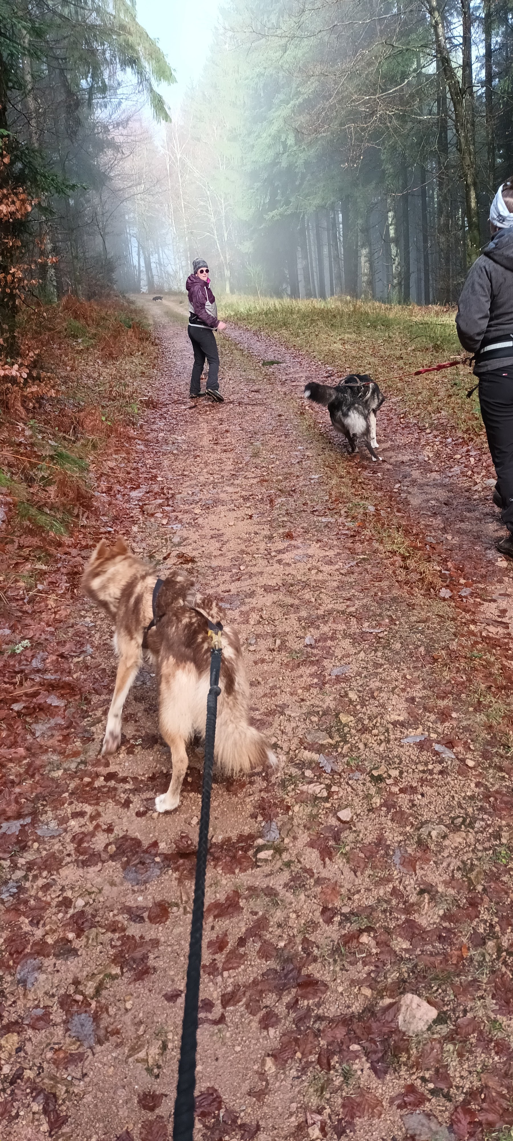 Photo n° 1 de l'avis de Laurence.o fait le 05/01/2024 à 16:04