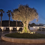 Photo n°2 de l'avis de José.e fait le 26/01/2024 à 19:12 sur le  Praia D'El Rey Marriott Golf & Beach Resort à Amoreira