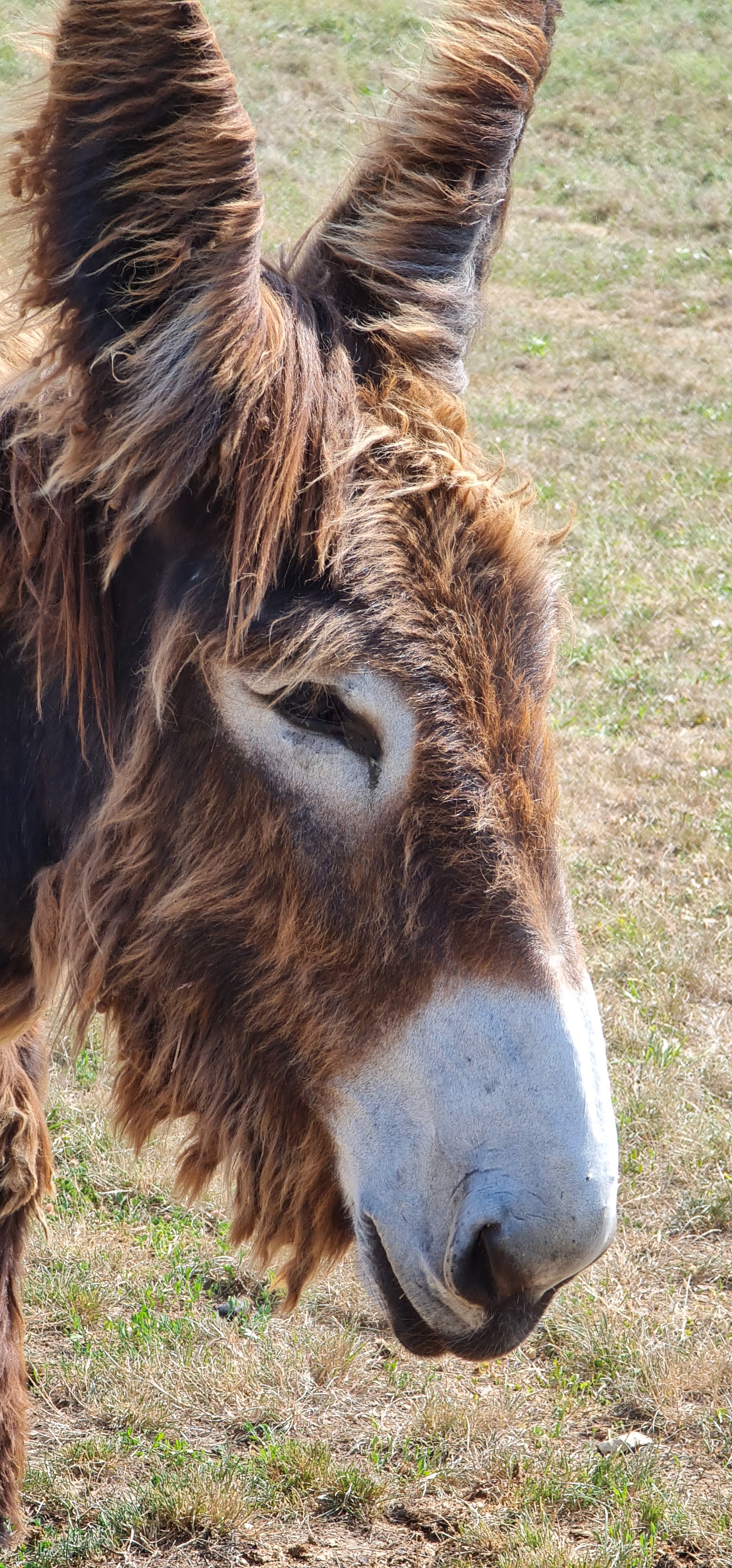 Photo n° 5 de l'avis de Jean.r fait le 23/07/2022 à 17:55