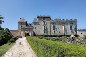 Château de Vayres image