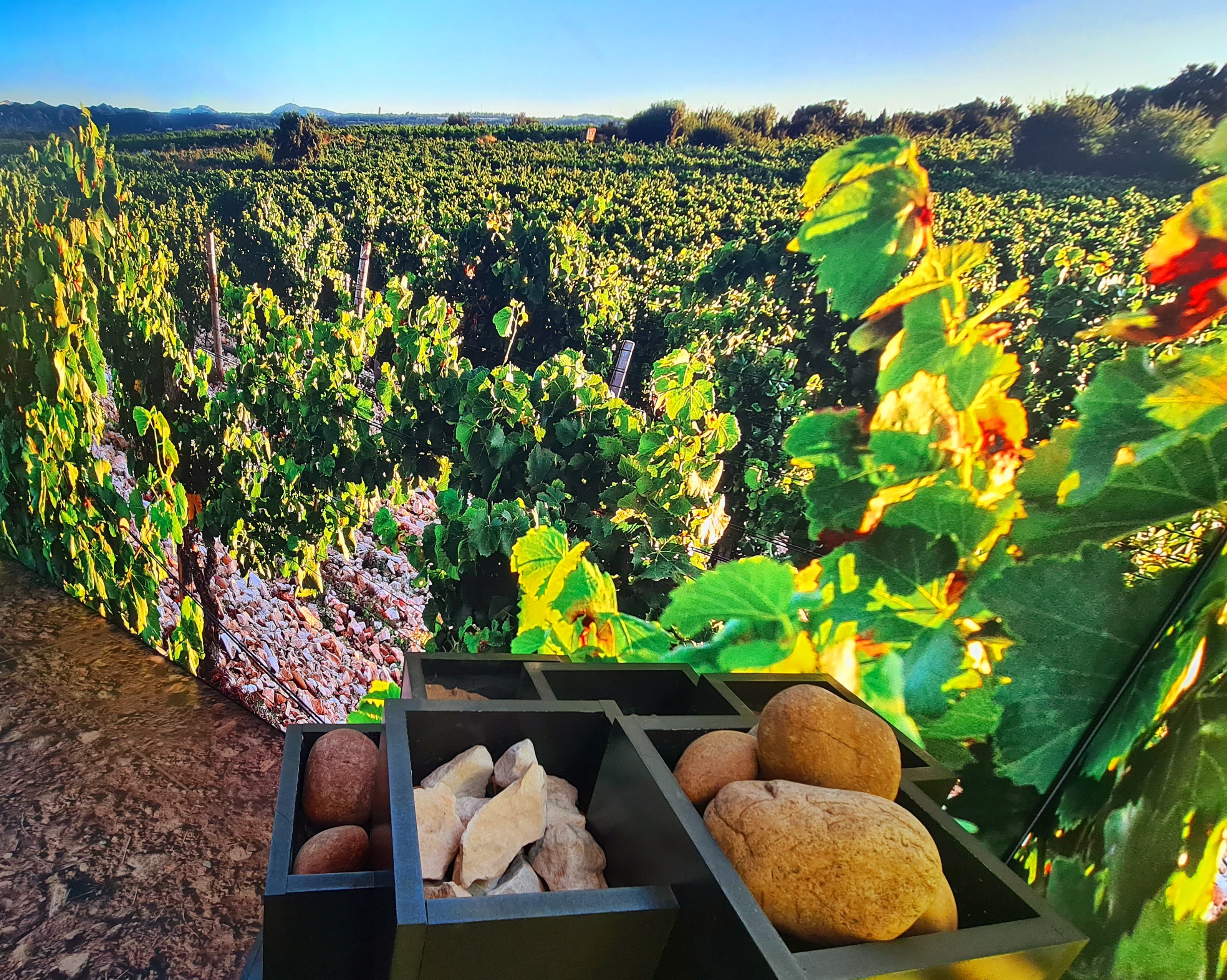 Photo n° 5 de l'avis de Stefan.a fait le 25/05/2022 à 21:59