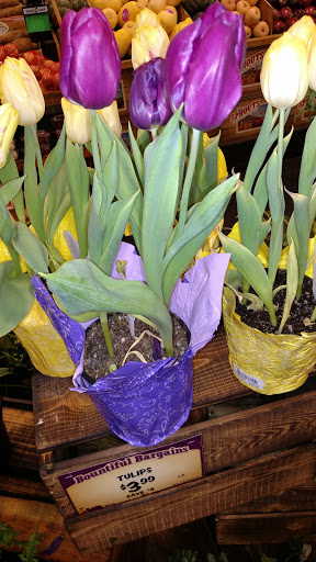 Health Food Store «Sprouts Farmers Market», reviews and photos, 5665 W Bell Rd, Glendale, AZ 85308, USA