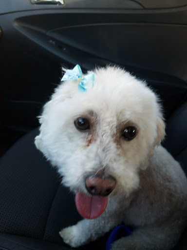 Pet Supply Store «PetSmart», reviews and photos, 533 S Broad St, Meriden, CT 06450, USA