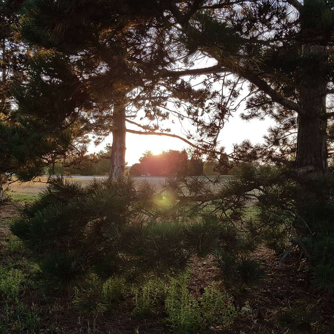 Photo n° 3 de l'avis de Eric.A fait le 18/08/2019 à 14:08