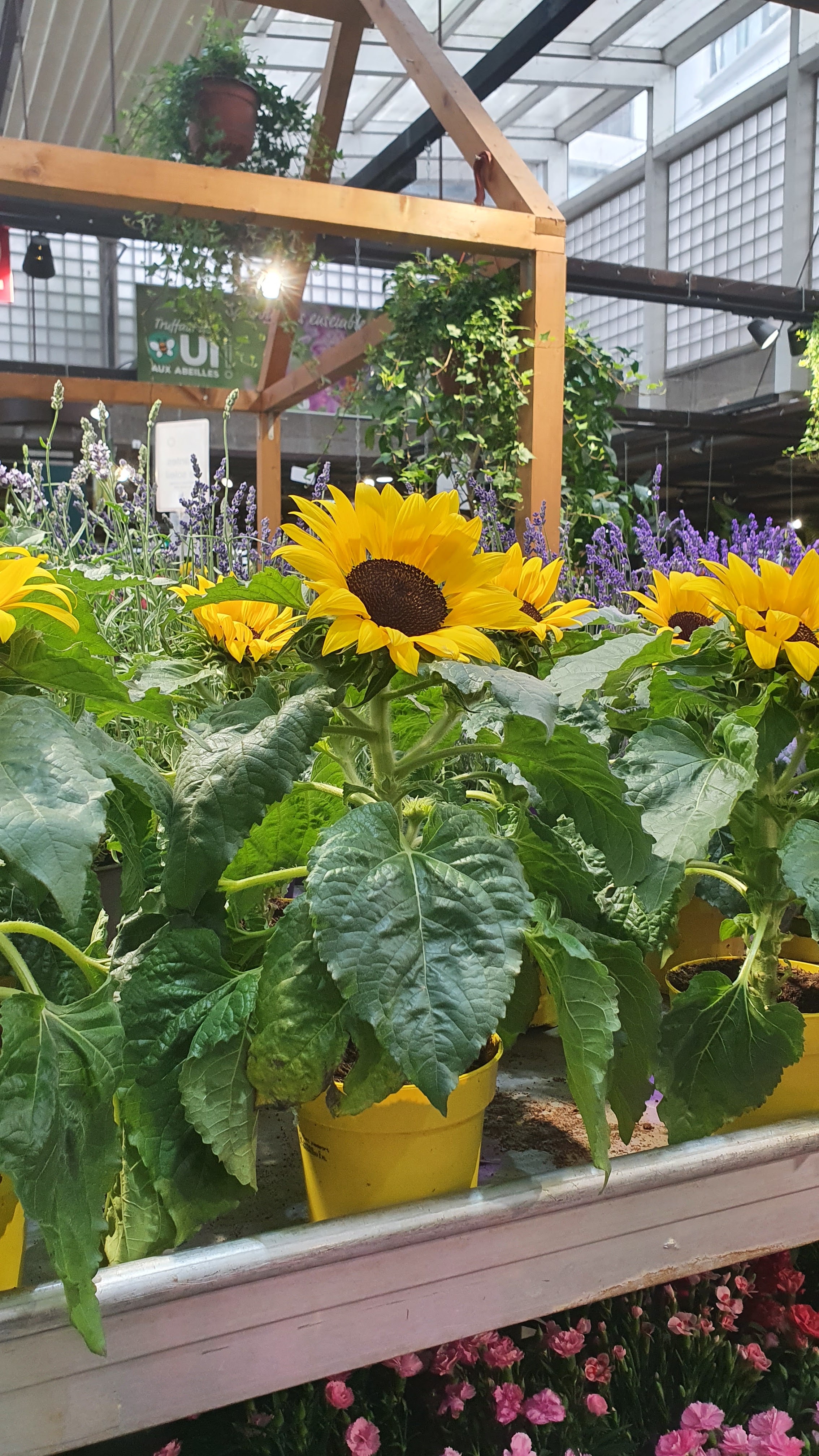 Photo n° 34 de l'avis de Cyril.O fait le 18/06/2021 à 16:25