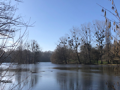 Etang lambon à Beaussais-Vitré