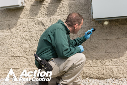 Pest Control Service «Action Pest Control», reviews and photos