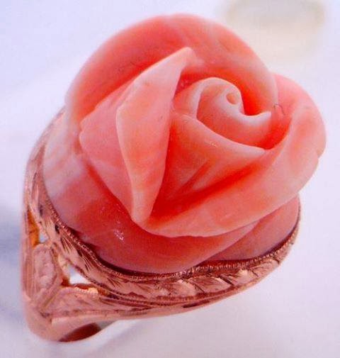 Jeweler «Somerton Jewelers», reviews and photos, 10853 Bustleton Ave, Philadelphia, PA 19116, USA