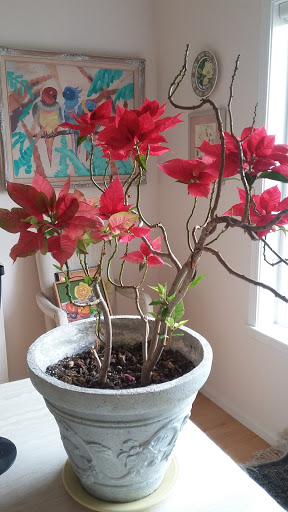 Public Golf Course «RiverRidge Golf Complex», reviews and photos, 3800 N Delta Hwy, Eugene, OR 97408, USA