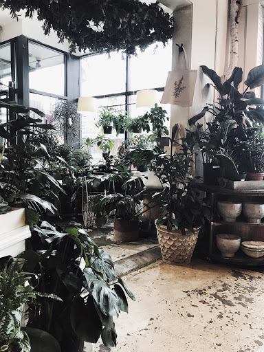 Florist «Flora», reviews and photos, 428 Haywood Rd B, Asheville, NC 28806, USA