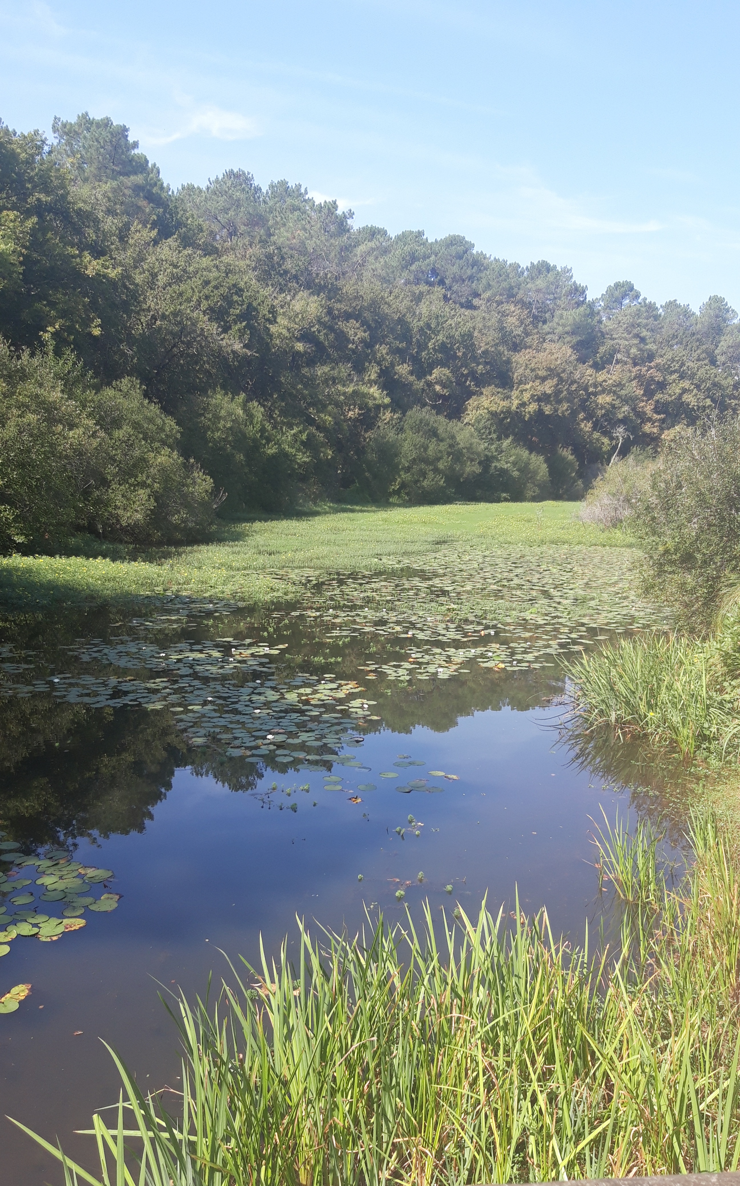 Photo n° 2 de l'avis de Marlène.b fait le 10/09/2023 à 17:39