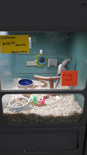 Pet Store «Pet World - Auburndale», reviews and photos, 3637 Havendale Blvd, Auburndale, FL 33823, USA