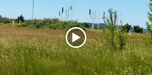 Tourist Attraction «A Sound Garden», reviews and photos, 7600 Sand Point Way NE, Seattle, WA 98115, USA