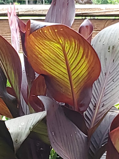 Home Improvement Store «The Home Depot», reviews and photos, 1740 Old Epps Bridge Rd, Athens, GA 30606, USA