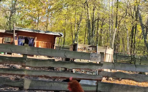 Erlebniswelt Tier und Natur im Jungfernheide Park image