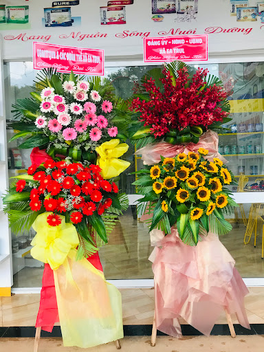 Top 20 cửa hàng trung nghĩa Huyện Cư Kuin Đắk Lắk 2022