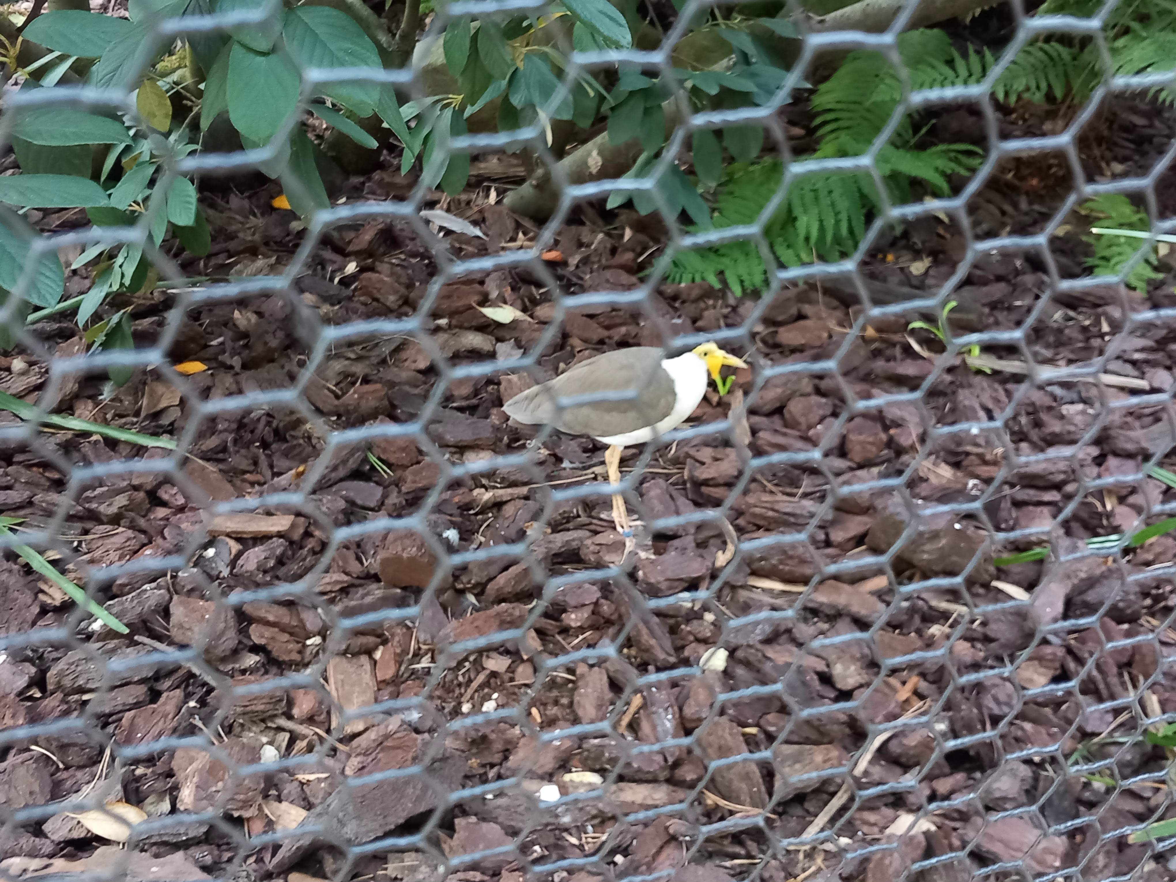 Photo n° 20 de l'avis de Julien.a fait le 11/10/2023 à 18:47