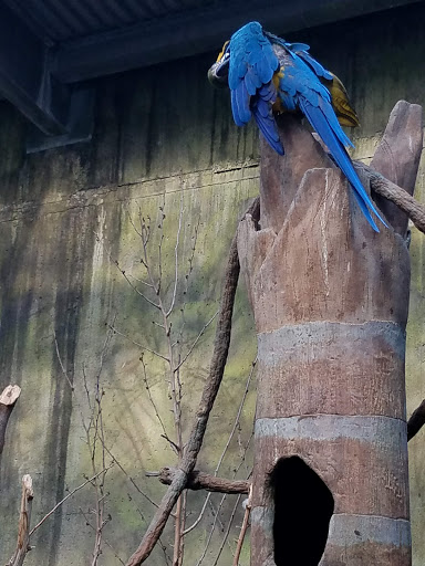 Zoo «Lied Jungle», reviews and photos, 916 D St, Omaha, NE 68107, USA