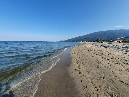 Alexandrian beach