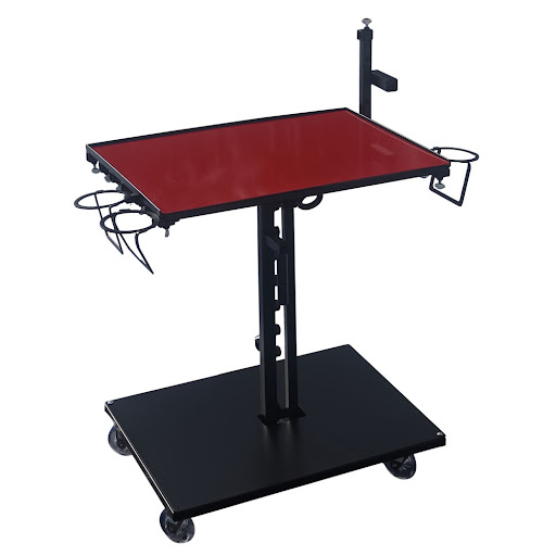 Find lesbian couple tattoos ideas for your next unique tattoo in Reno at Stingray Tattoo supplies