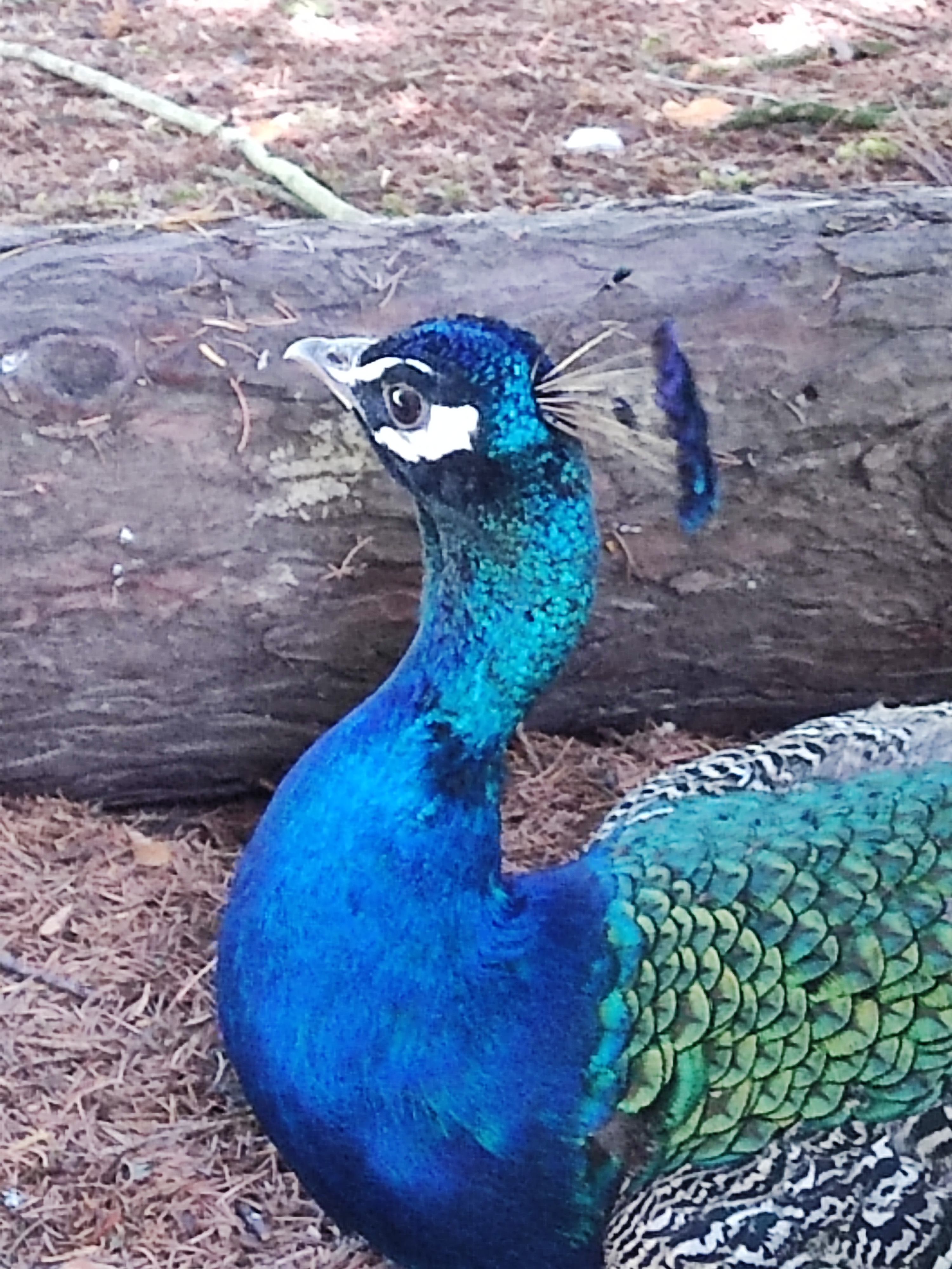 Photo n° 6 de l'avis de Gisou.o fait le 03/08/2022 à 17:23