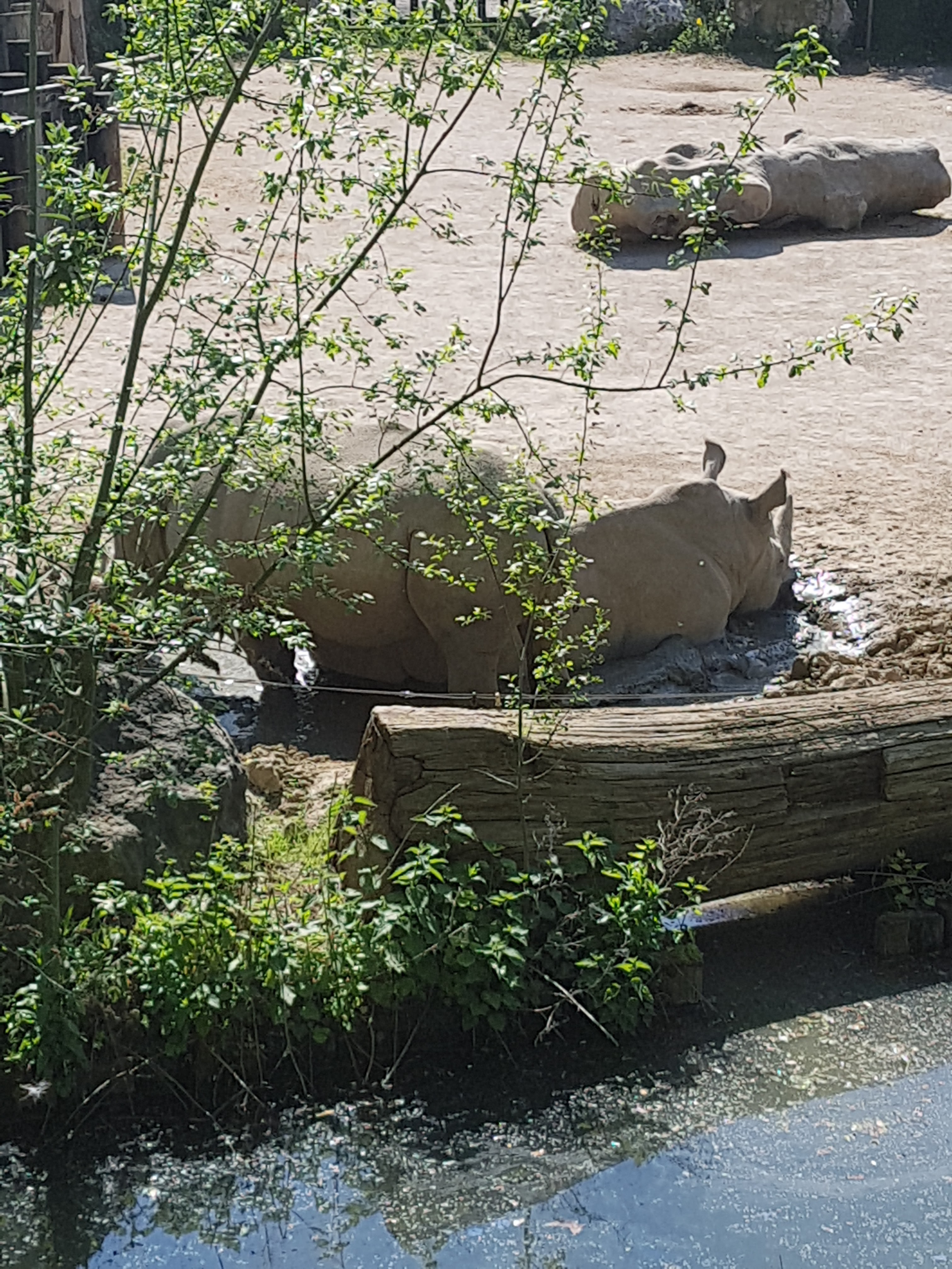 Photo n° 17 de l'avis de Celia.a fait le 30/04/2019 à 08:20