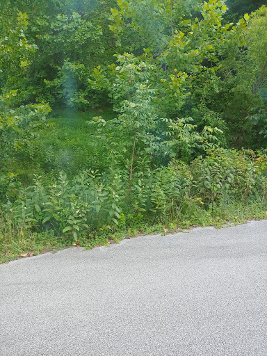 Resort «Mardi Gras Casino & Resort», reviews and photos, Greyhound Dr, Cross Lanes, WV 25313, USA