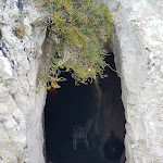 Photo n°3 de l'avis de Marcus.e fait le 31/07/2020 à 22:04 sur le  Il Trabucco da Elia à Manaccora