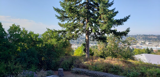 Park «Fremont Peak Park», reviews and photos, 4357 Palatine Ave N, Seattle, WA 98103, USA