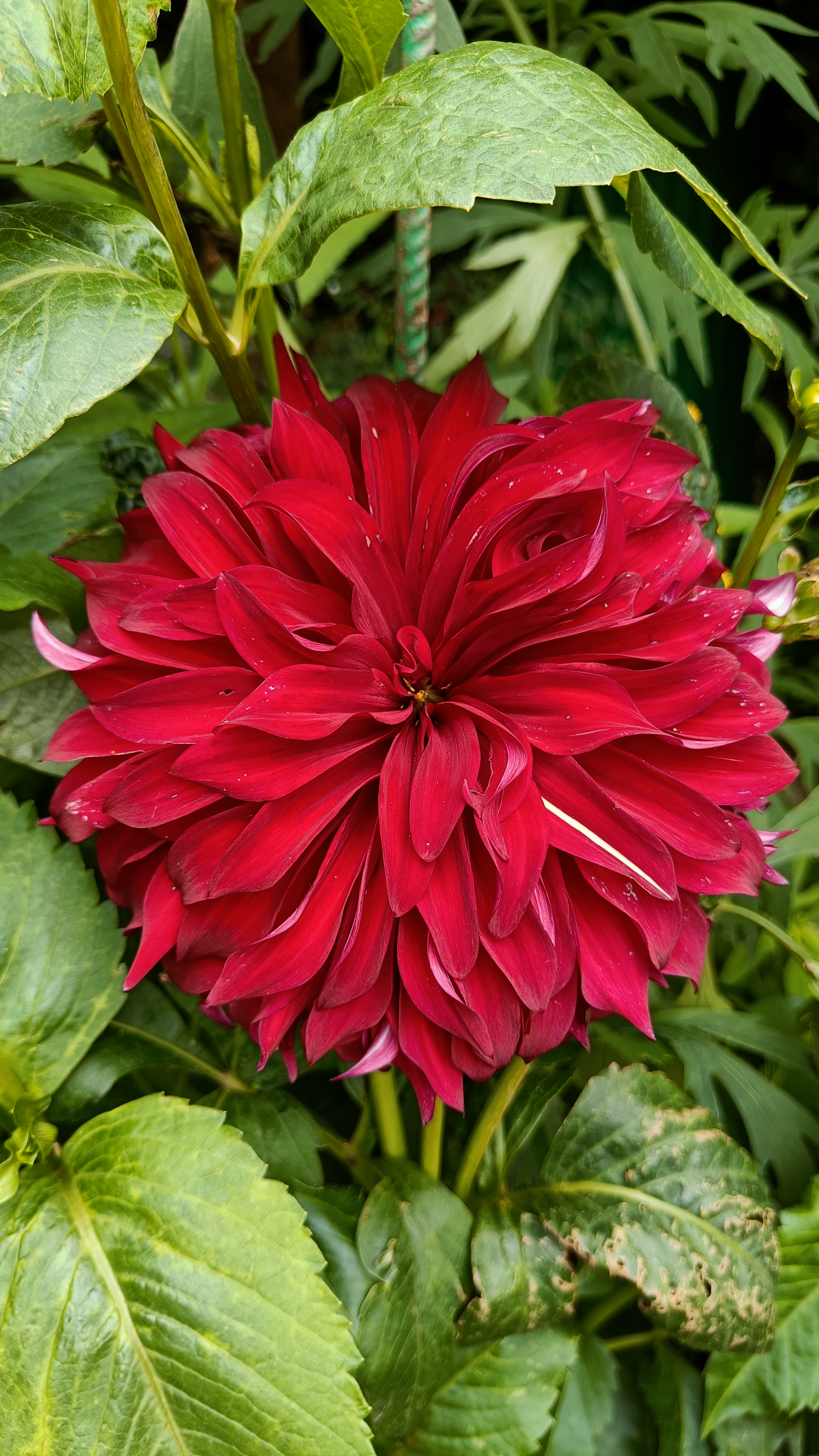 Photo n° 15 de l'avis de Eliot.o fait le 28/07/2023 à 16:35