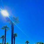 Photo n°2 de l'avis de Andoni.a fait le 07/08/2023 à 19:19 sur le  Gardaland Hotel à Castelnuovo del Garda