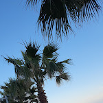 Photo n°9 de l'avis de Beat.i fait le 17/02/2023 à 21:16 sur le  Kursaal Margherita à Varazze