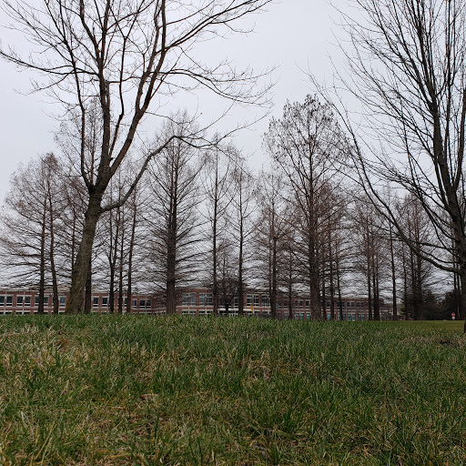 Insurance Agency «GEICO Corporate Office», reviews and photos