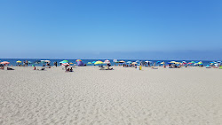Castel Porziano Beach'in fotoğrafı imkanlar alanı