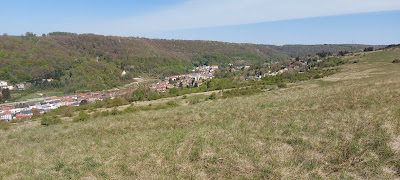 Les Pelouses Calcaires à Algrange