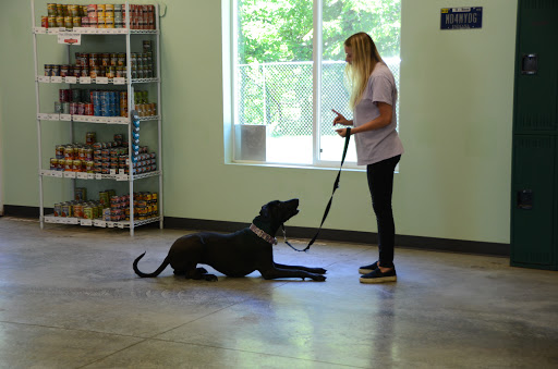 Dog Trainer «Mad 4 My Dog», reviews and photos, 702 E Temperance St, Ellettsville, IN 47429, USA