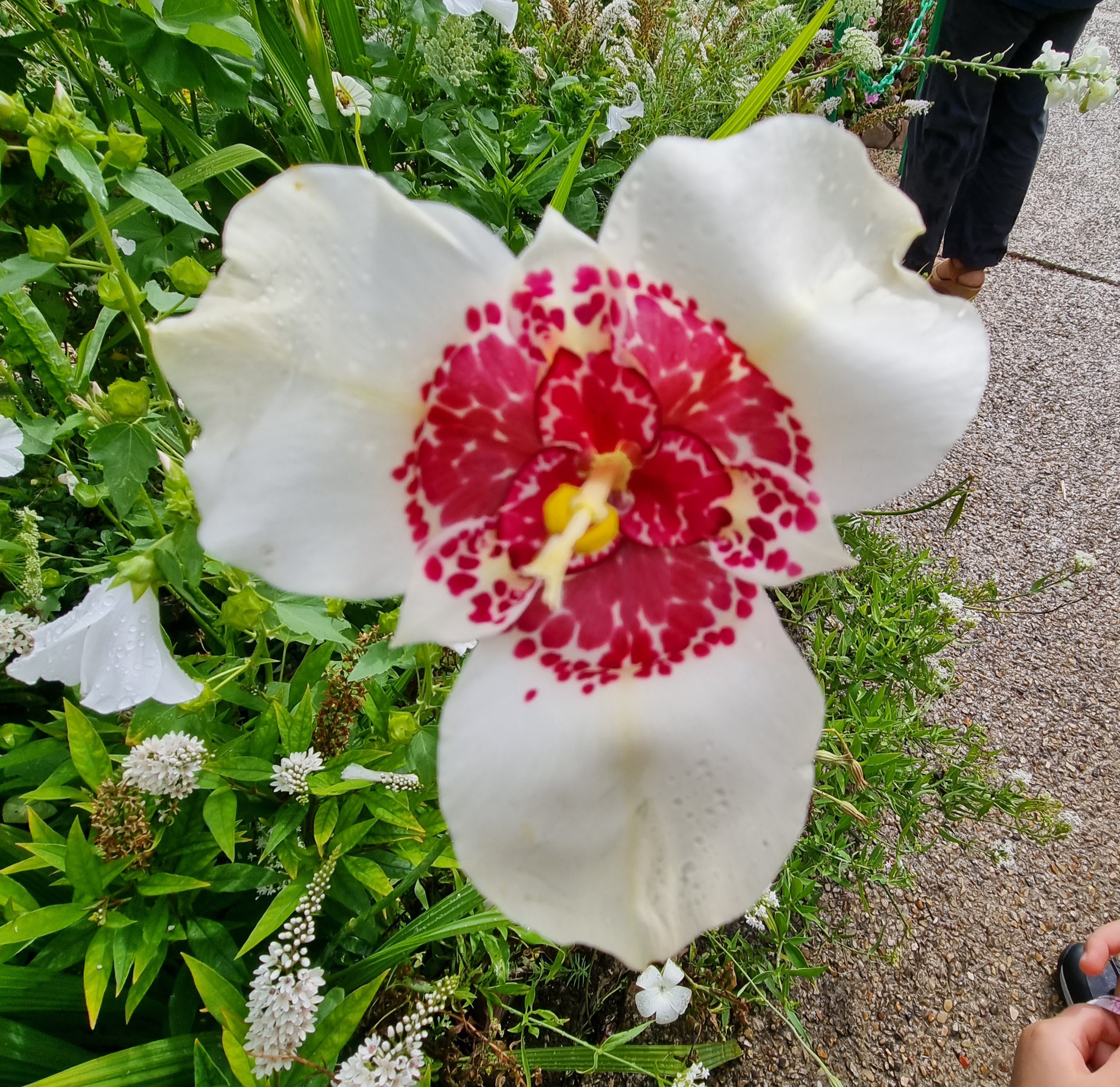 Photo n° 3 de l'avis de Audrey.a fait le 25/07/2023 à 07:20