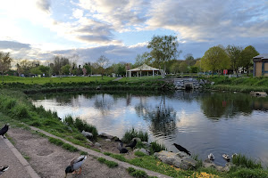 Carrigaline Duck Pond