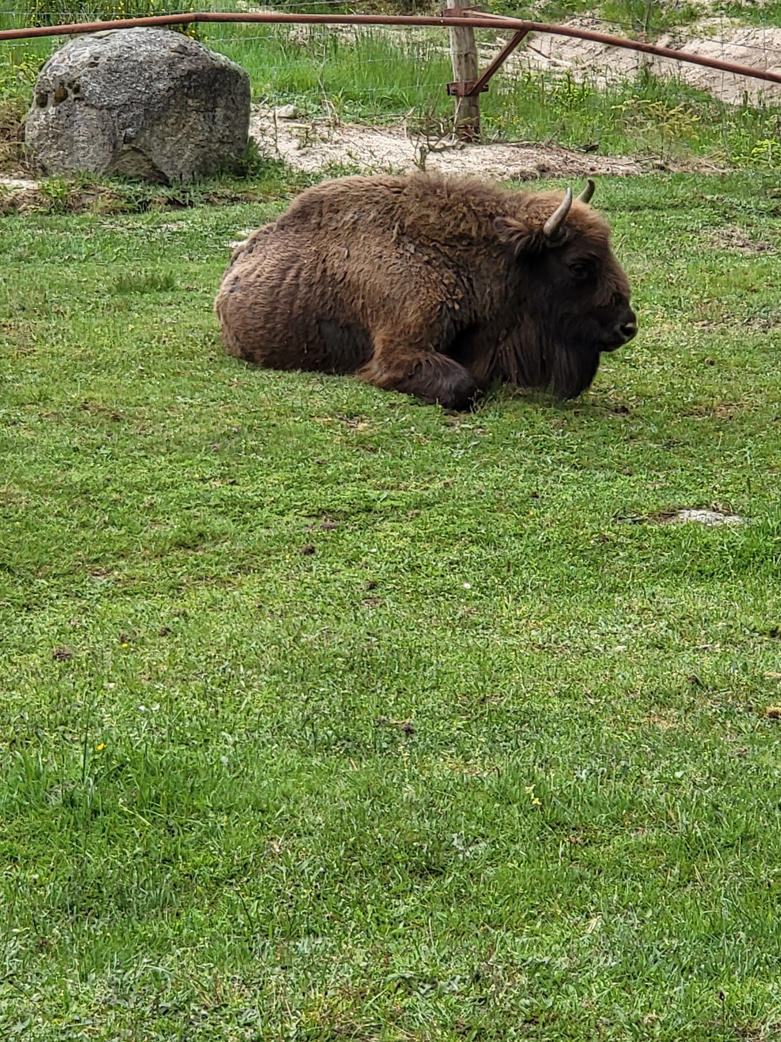 Photo n° 12 de l'avis de Joseph.e fait le 07/06/2023 à 21:11
