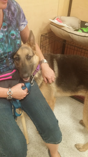 Pet Supply Store «PetSmart», reviews and photos, 2718 Legends Pkwy, Prattville, AL 36066, USA